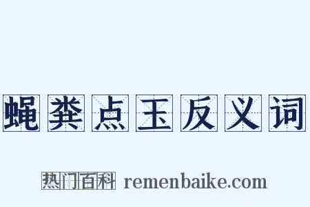 蝇粪点玉反义词是什么意思的图片